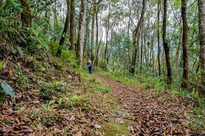 sikkim.ch | Nordostinidien und Sikkim Reisen - Bild zu Sikkim, der Osten