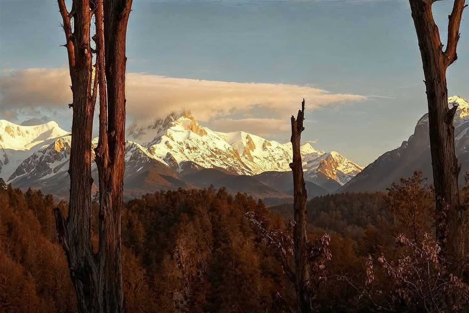 ein verschneites Gebirge mit Bäumen