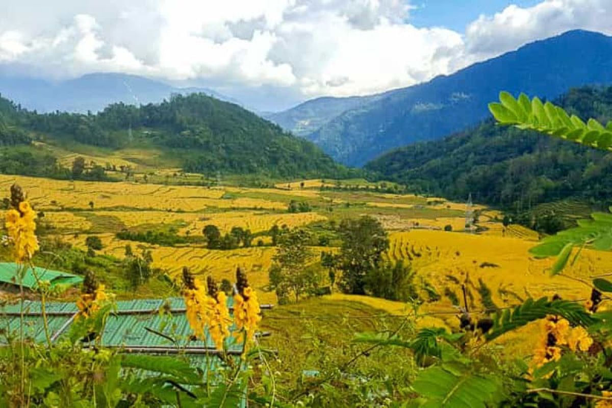 sikkim.ch | Nordostinidien und Sikkim Reisen - Bild zu Sikkim, der Osten