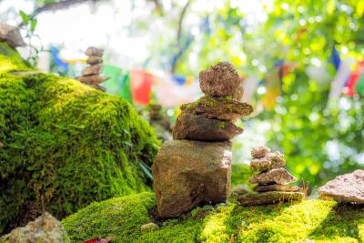 sikkim.ch | Nordostinidien und Sikkim Reisen - Bild zu Sikkim, the north
