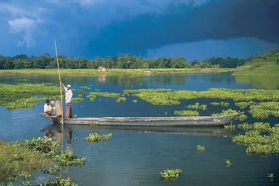 sikkim.ch | Nordostinidien und Sikkim Reisen - Bild zu Assam