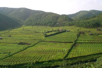 sikkim.ch | Nordostinidien und Sikkim Reisen - Bild zu Meghalaya