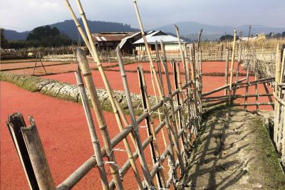 sikkim.ch | Nordostinidien und Sikkim Reisen - Bild zu Monasteries & indigenous peoples in Arunachal Pradesh round trip