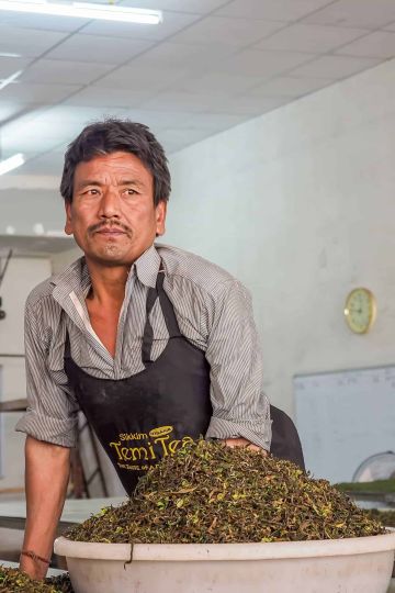 sikkim.ch | Nordostinidien und Sikkim Reisen - Bild zu Darjeeling & Kalimpong