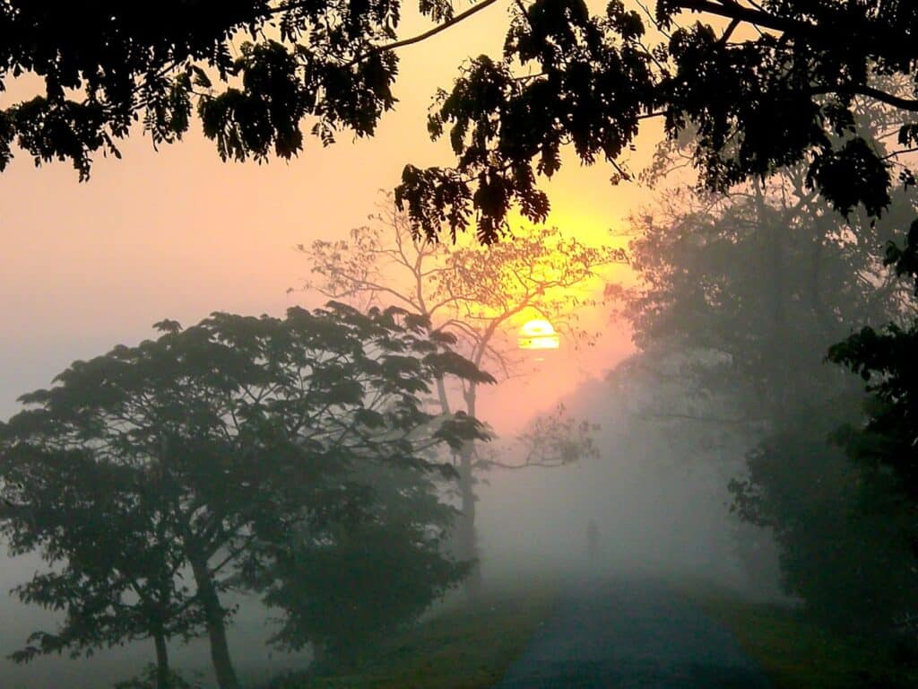 Sunrise at Kaziranga National Park, Assam