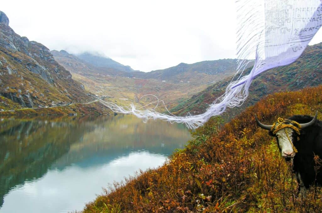 Ambience at Tsomgo Lake on an day in autumn 